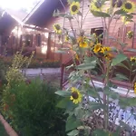 アパート Charming In Matas With Pool And Jacuzzi Mata