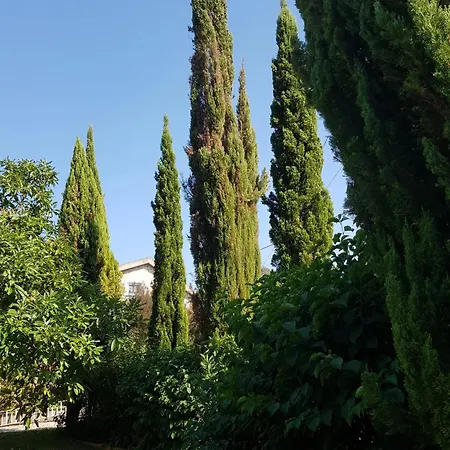 Charming In Matas With Pool And Jacuzzi Апартаменты