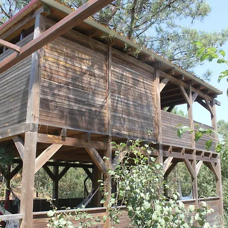 Apartamento Charming In Matas With Pool And Jacuzzi