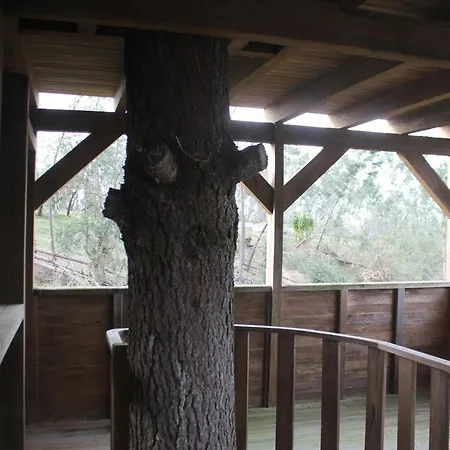 Апартаменты Charming In Matas With Pool And Jacuzzi Mata (Fornos de Algodres)