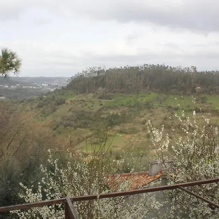 Charming In Matas With Pool And Jacuzzi Апартаменты Mata (Fornos de Algodres)