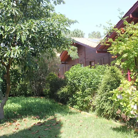 Charming In Matas With Pool And Jacuzzi Apartamento *