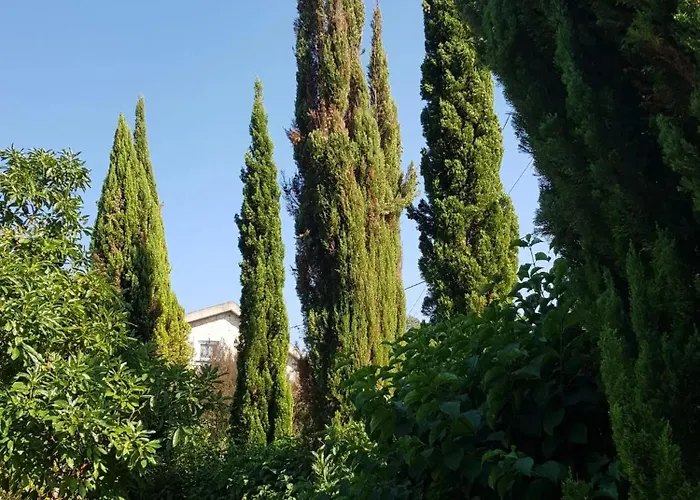 Charming In Matas With Pool And Jacuzzi Apartamento