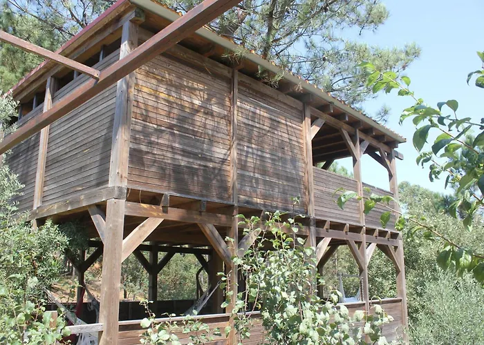 Apartamento Charming In Matas With Pool And Jacuzzi