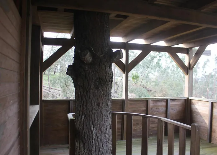 Апартаменты Charming In Matas With Pool And Jacuzzi Mata (Fornos de Algodres)