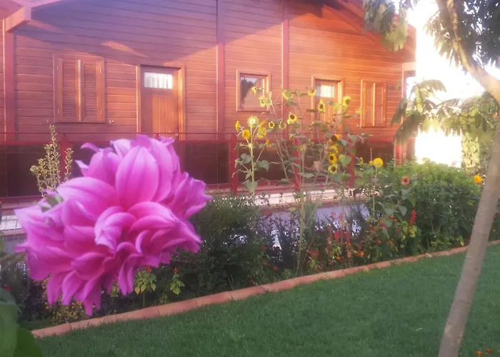 Apartamento Charming In Matas With Pool And Jacuzzi *