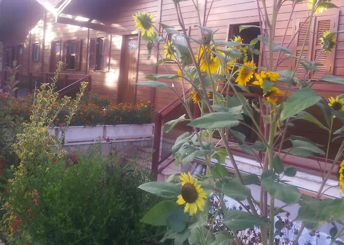 Апартаменты Charming In Matas With Pool And Jacuzzi Mata (Fornos de Algodres)